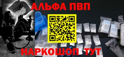 дмт Кингисепп