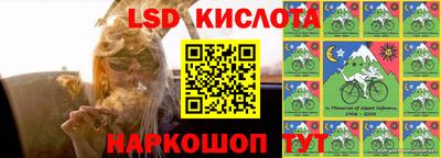 дмт Кингисепп