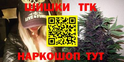 дмт Кингисепп