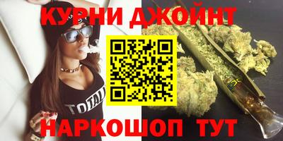 дмт Кингисепп