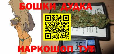 дмт Кингисепп