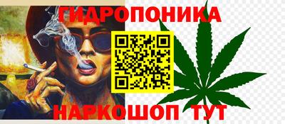 дмт Кингисепп