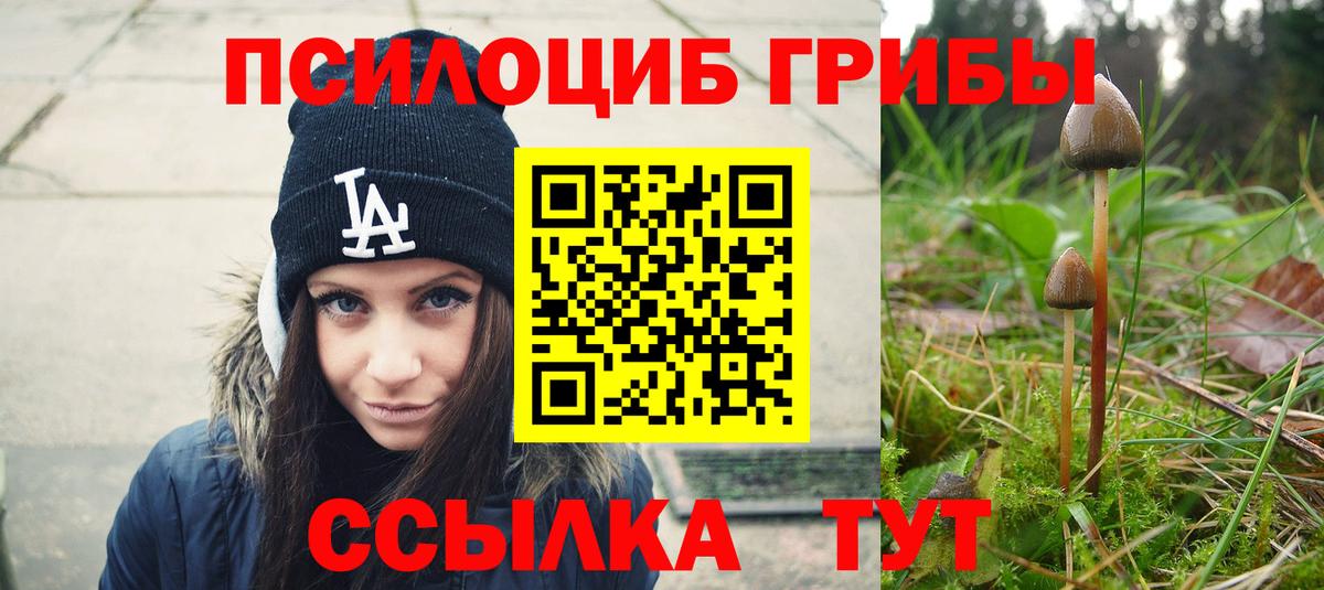 Галлюциногенные грибы мухоморы Красноярск